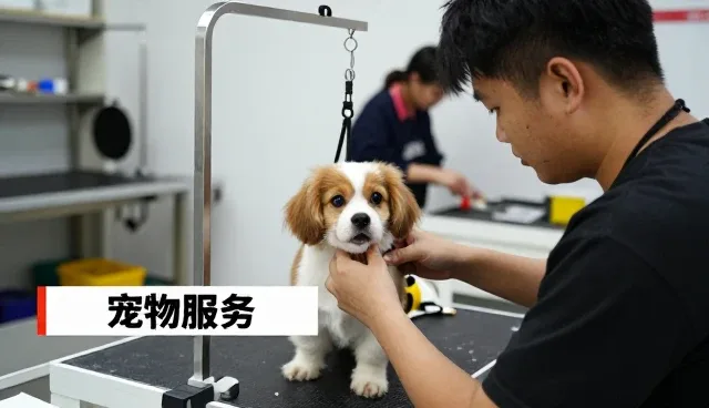 驱虫服务应用范围不断扩大