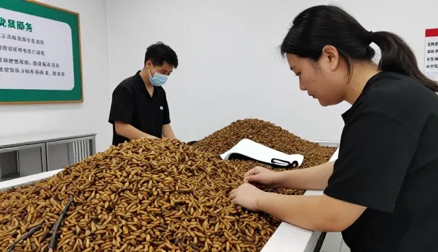 学校与医院实录:宠物服装宠物摄影注意事项